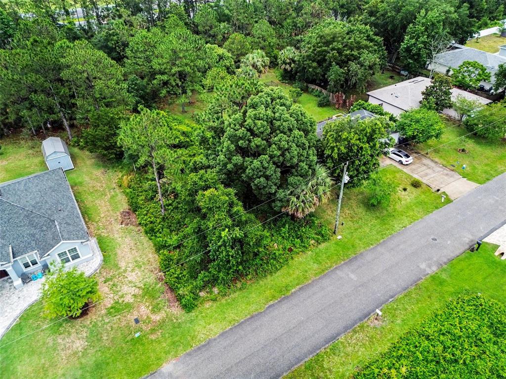 An aerial view shows a wooded residential lot situated between two houses and a road — 14 ULINE PLACE, PALM COAST, FL