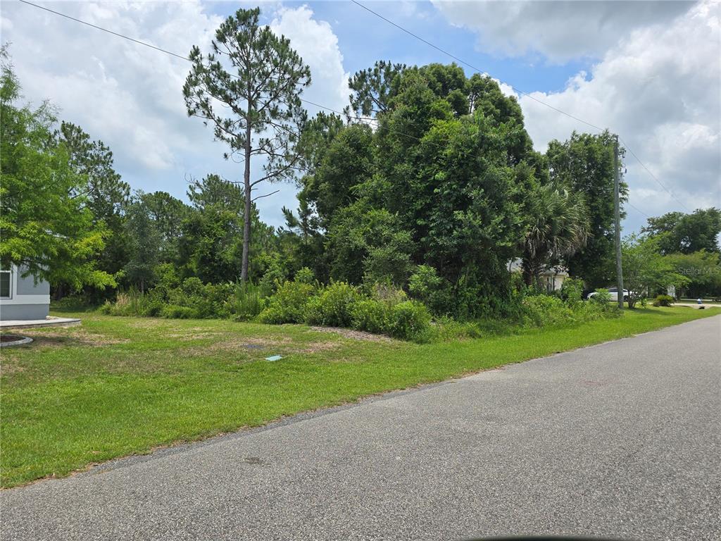 A vacant, grassy lot with dense trees and shrubs sits next to a paved road — 14 ULINE PLACE, PALM COAST, FL