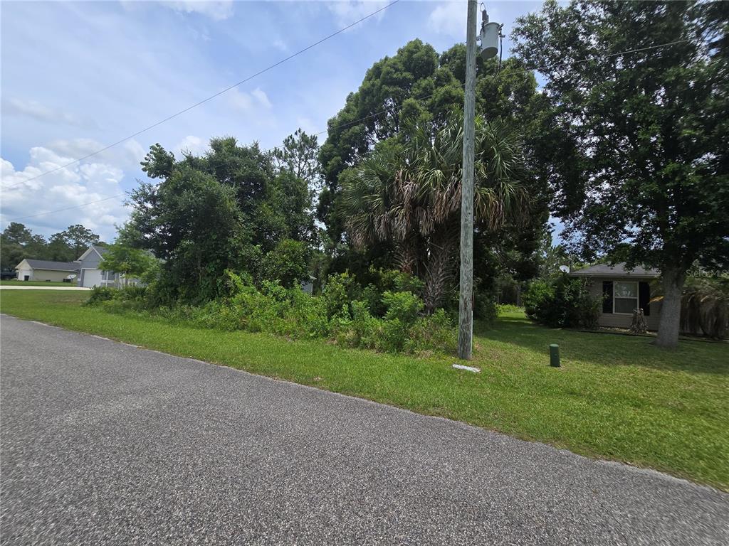 A vacant, wooded residential lot sits between two houses along a paved road — 14 ULINE PLACE, PALM COAST, FL