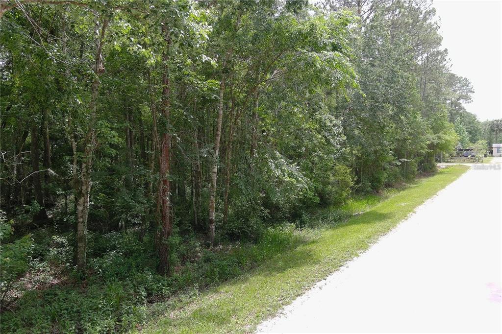 1823 HONEYTREE STREET, BUNNELL, FL — photo 2 of 5
