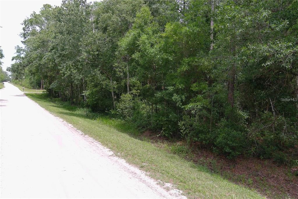 1823 HONEYTREE STREET, BUNNELL, FL — photo 3 of 5
