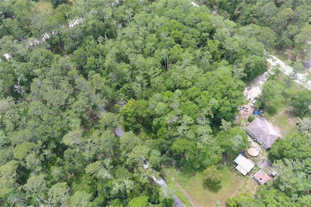 1823 HONEYTREE STREET, BUNNELL, FL — photo 4 of 5