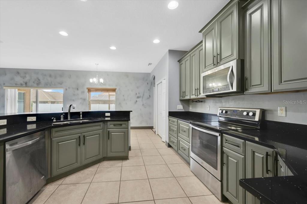 A kitchen features sage green cabinets, black countertops, stainless steel appliances, and beige tile flooring — 2850 SHELDON STREET, LAKELAND, FL