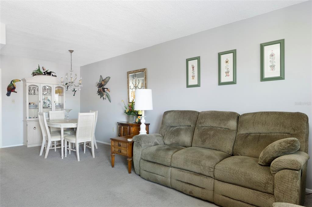 A living room features gray walls, carpeted floors, a brown sofa, and a dining area — 8101 11TH STREET N UNIT 319, ST PETERSBURG, FL