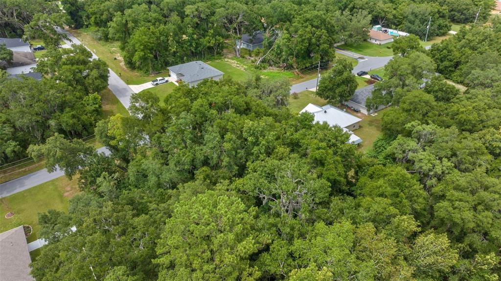 An aerial view shows several houses nestled among dense trees and winding suburban roads — SW 131ST PL ROAD, OCALA, FL