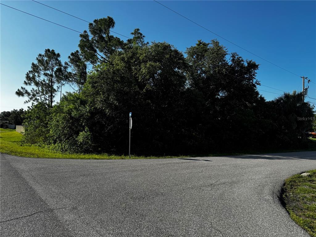 A paved road curves in front of a dense, wooded lot under a clear sky — KOWAL AVENUE, NORTH PORT, FL