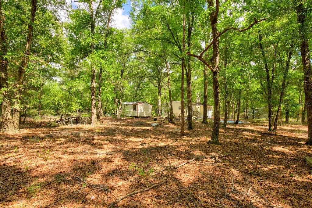 A small shed and a mobile home sit in a wooded lot covered with leaves — 3450 NE 48TH AVENUE, HIGH SPRINGS, FL