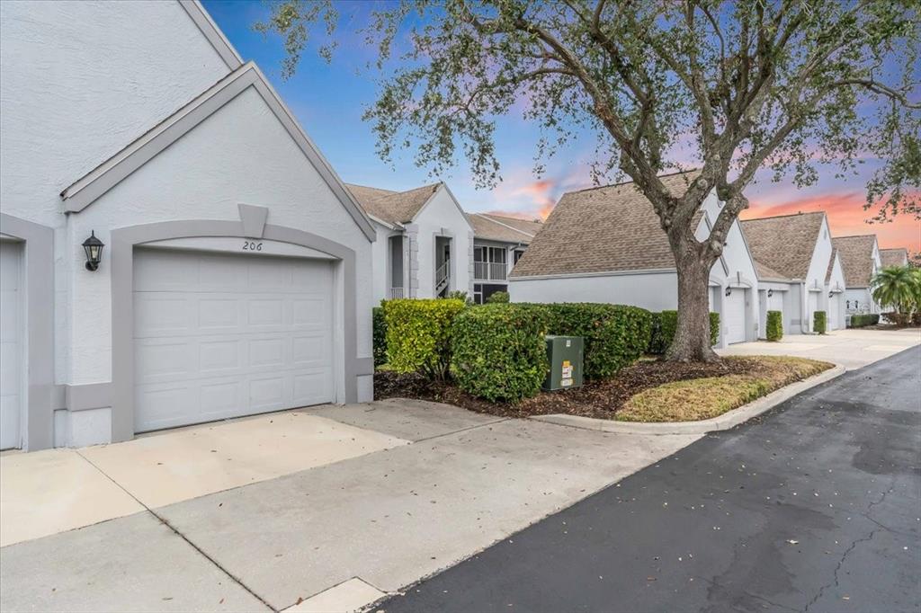 A row of light-colored townhomes with attached garages and a large tree in the foreground — 6713 STONE RIVER ROAD UNIT 206, BRADENTON, FL