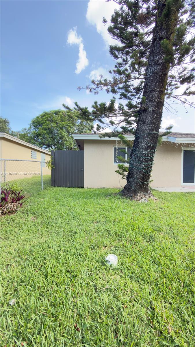 A grassy backyard features a large pine tree, a chain-link fence, and a beige house — 920 NW 65th St, Miami FL 33150, MIAMI, FL