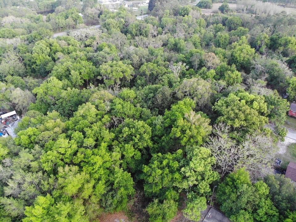 2156 OLD HICKORY TREE ROAD