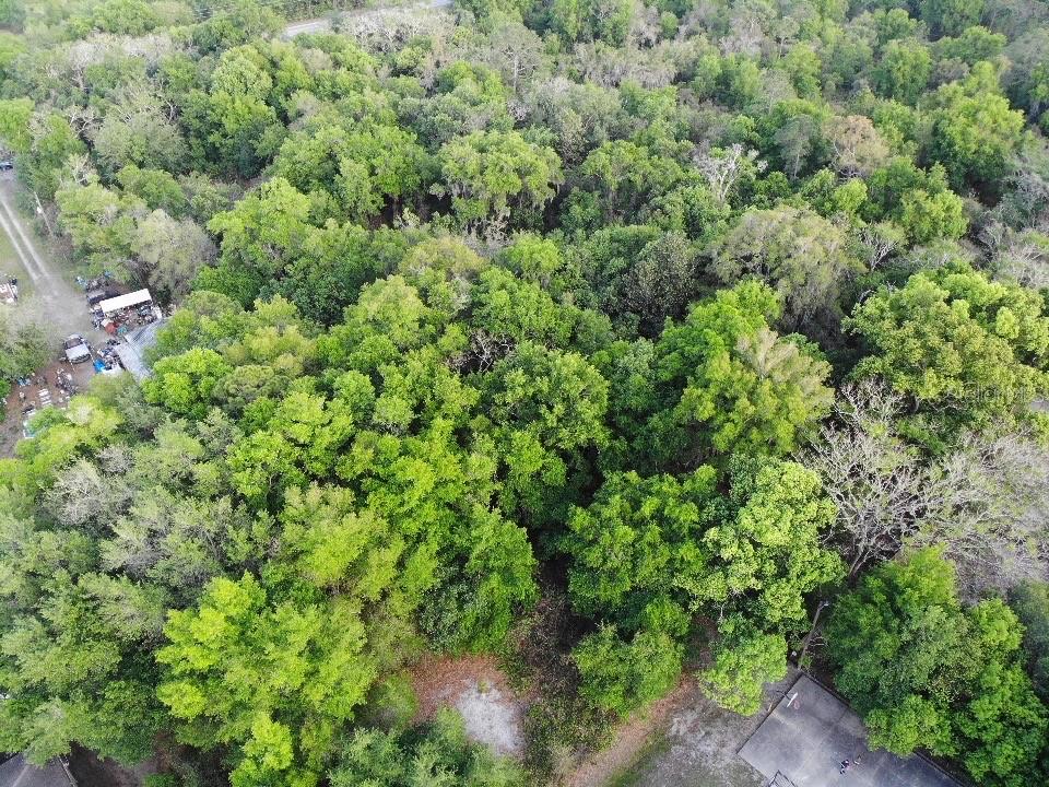 2156 OLD HICKORY TREE ROAD, ST CLOUD, FL — photo 2 of 2