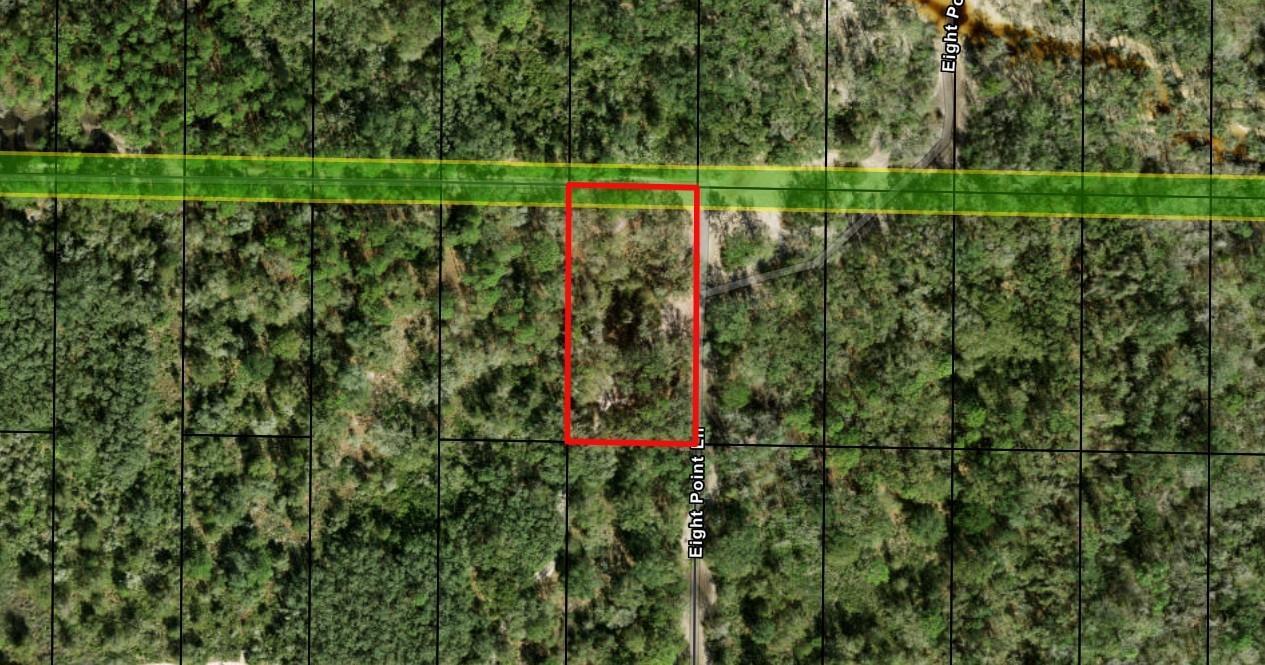 This aerial map shows a rectangular plot of land bordered by a road and trees — 0 County Rd 54, FL 33849, FL