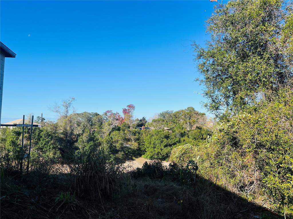A view of a grassy, overgrown lot surrounded by dense trees under a clear sky — 2106 E GLORIA DRIVE, DELTONA, FL