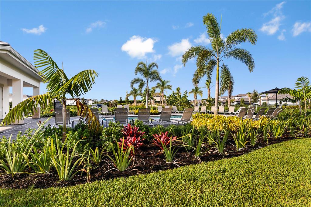 A landscaped garden with palm trees overlooks a swimming pool area with lounge chairs — 10894 ECLIPSE STREET, SARASOTA, FL