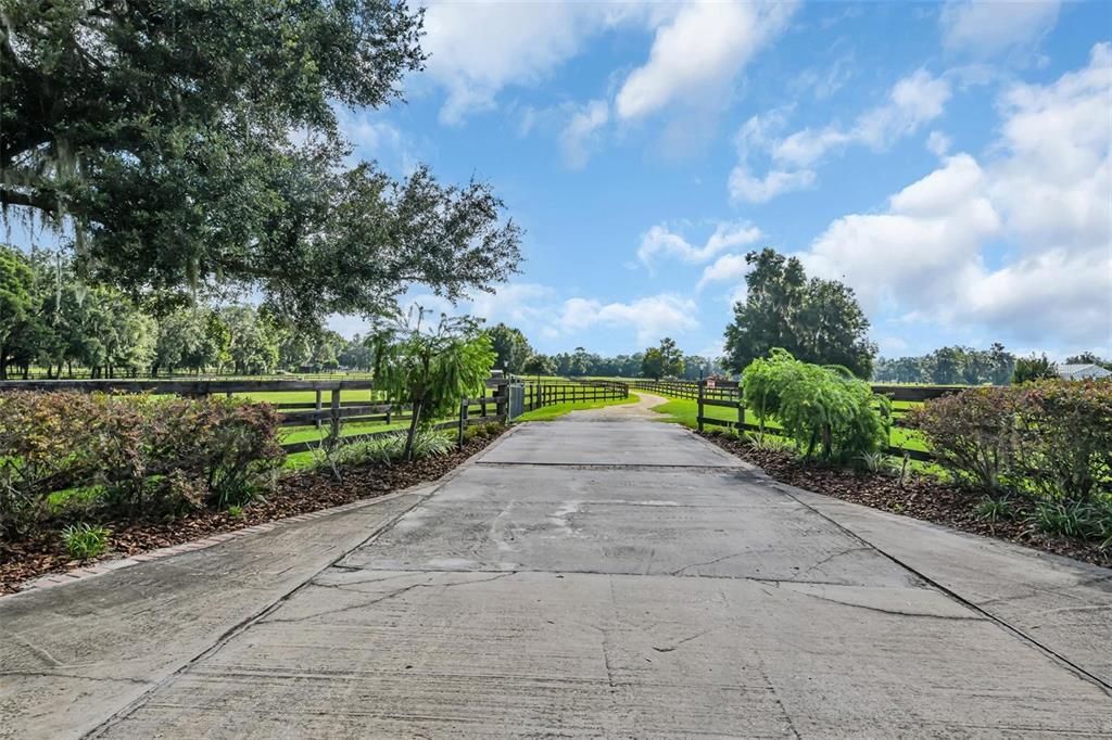 A concrete driveway leads through a fenced pasture lined with trees and landscaping — 6155 NW 145TH AVE ROAD, MORRISTON, FL