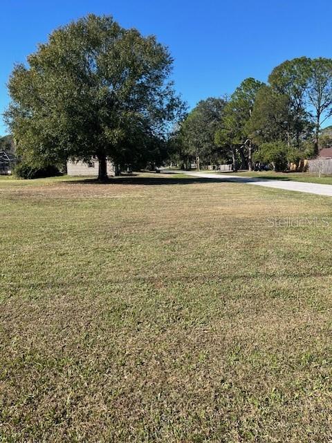 A large, grassy vacant lot features a prominent tree and a paved road nearby — Lot 589 MARIE DRIVE, ZEPHYRHILLS, FL