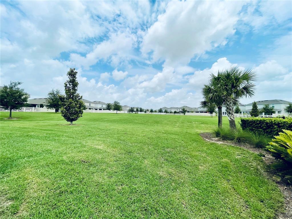 A grassy backyard area features a small tree, a palm tree, and distant suburban houses — 367 LEMONGRASS ROAD, MINNEOLA, FL