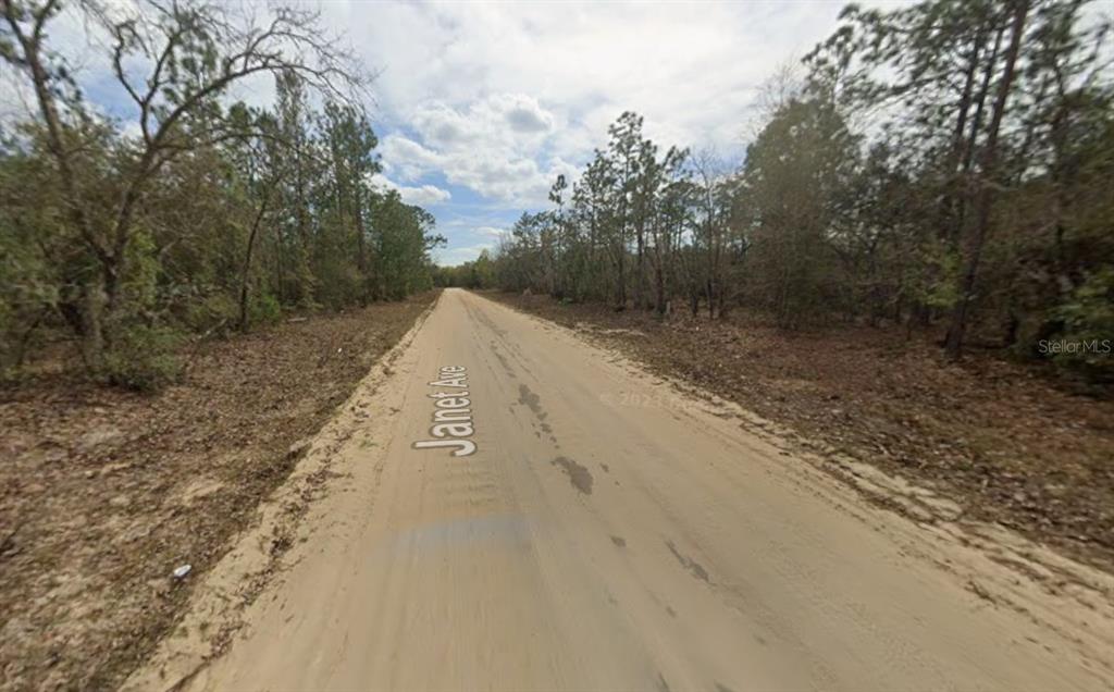 A dirt road stretches through a wooded area under a cloudy sky — LOT 28 JANET AVENUE, INTERLACHEN, FL
