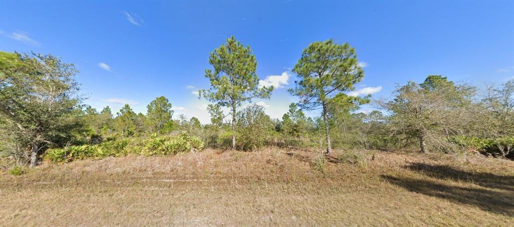 A vacant, grassy lot features scattered pine trees and low-lying shrubs under a clear sky — 518 TROPICANA DRIVE, INDIAN LAKE ESTATES, FL