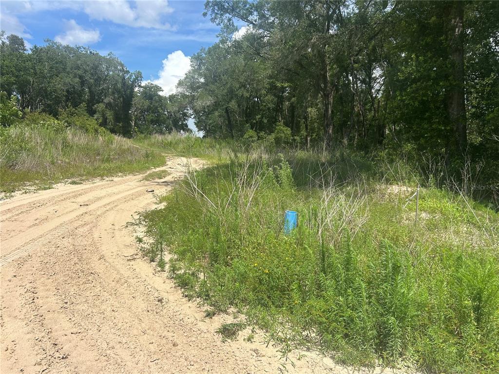 A dirt road curves through a grassy, wooded lot with a blue utility pipe visible — 4392 E JAY STREET, INVERNESS, FL