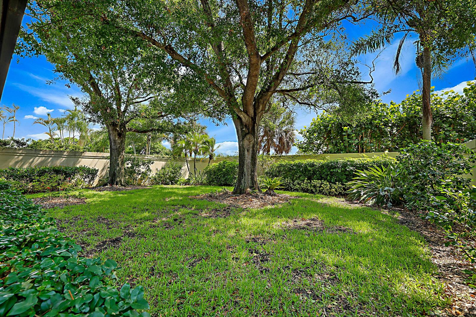 A grassy backyard features two large trees and a perimeter wall surrounded by lush landscaping — 137 Seashore Drive, Jupiter FL 33477, JUPITER, FL