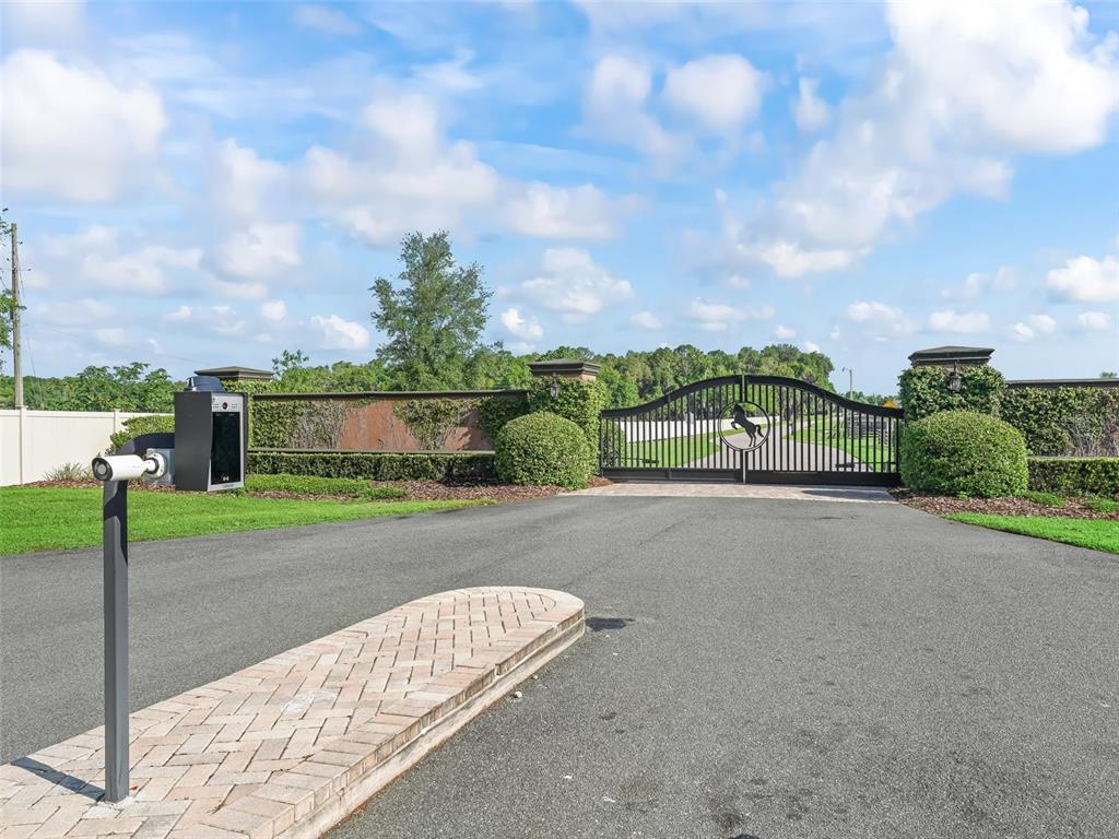 A paved driveway leads to a gated entrance featuring a black metal gate with a horse — 7161 NE 22ND COURT ROAD, OCALA, FL