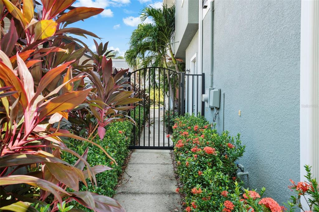 A narrow concrete walkway leads to a black metal gate between lush landscaping and a building — 214 S HABANA AVENUE UNIT 1, TAMPA, FL
