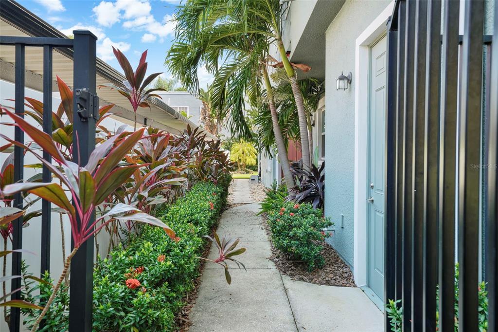 A narrow concrete walkway leads past a hedge and palm trees to a light blue door — 214 S HABANA AVENUE UNIT 1, TAMPA, FL