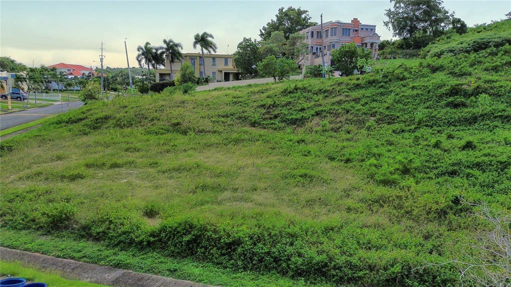 A vacant, sloped grassy lot sits adjacent to a paved road and residential houses — . HACIENDAS DE CAMUY, BO. PUENTE, SOLAR 11, CAMUY, PR