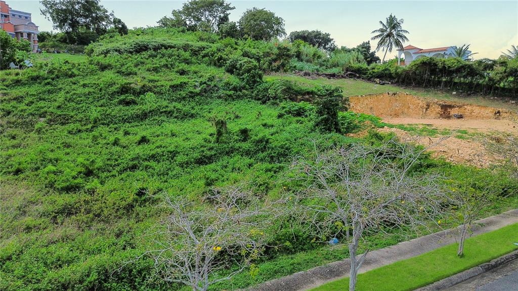 A sloped, overgrown vacant lot sits next to a cleared area with exposed soil — . HACIENDAS DE CAMUY, BO. PUENTE, SOLAR 11, CAMUY, PR