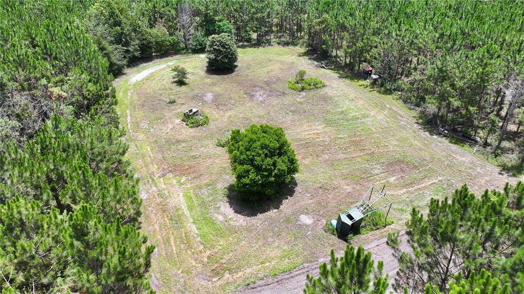 An aerial view shows a cleared grassy lot surrounded by dense pine trees — 9970 SE 154TH AVENUE, WHITE SPRINGS, FL
