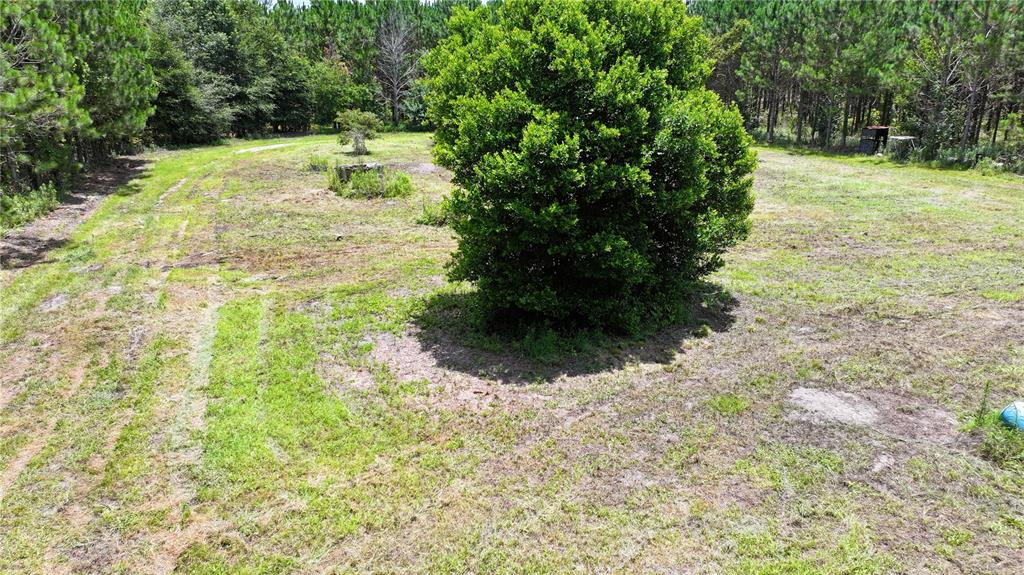 An aerial view of a grassy, partially cleared lot with a large central bush — 9970 SE 154TH AVENUE, WHITE SPRINGS, FL