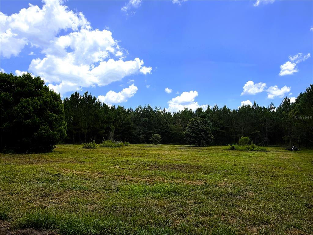 A large, grassy, open field is surrounded by a dense forest under a blue sky — 9970 SE 154TH AVENUE, WHITE SPRINGS, FL
