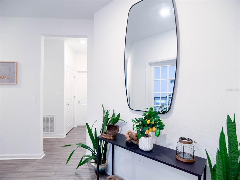 A modern entryway features a black console table, a tall mirror, and potted plants — 4732 NW 11TH STREET, OCALA, FL