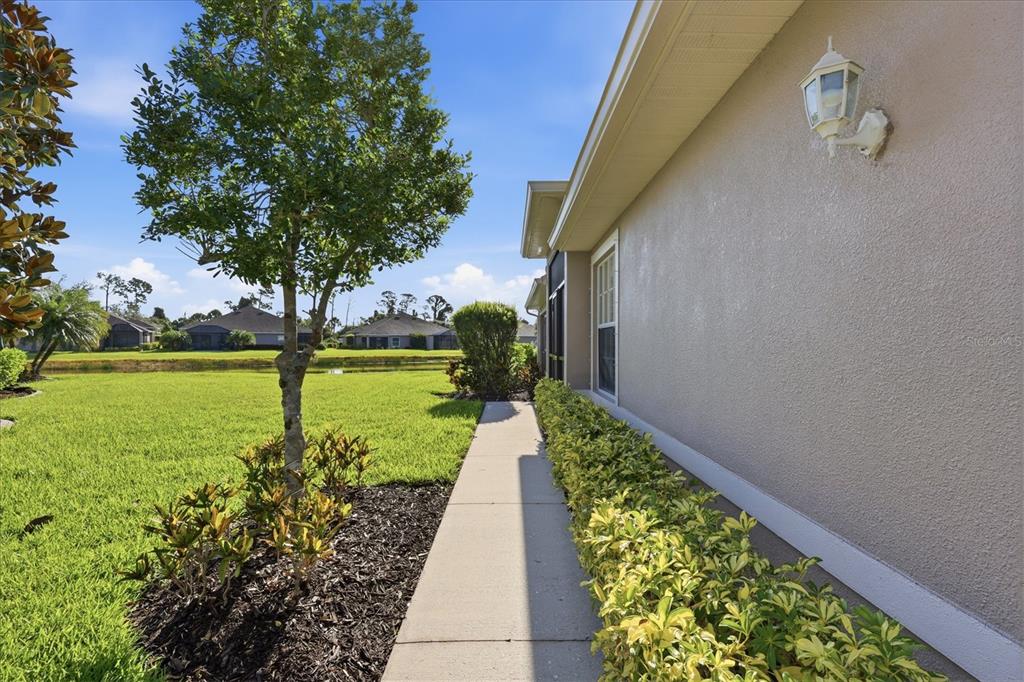 A concrete walkway runs alongside a beige house wall with a hedge and a tree — 5968 IBIS COURT, NORTH PORT, FL