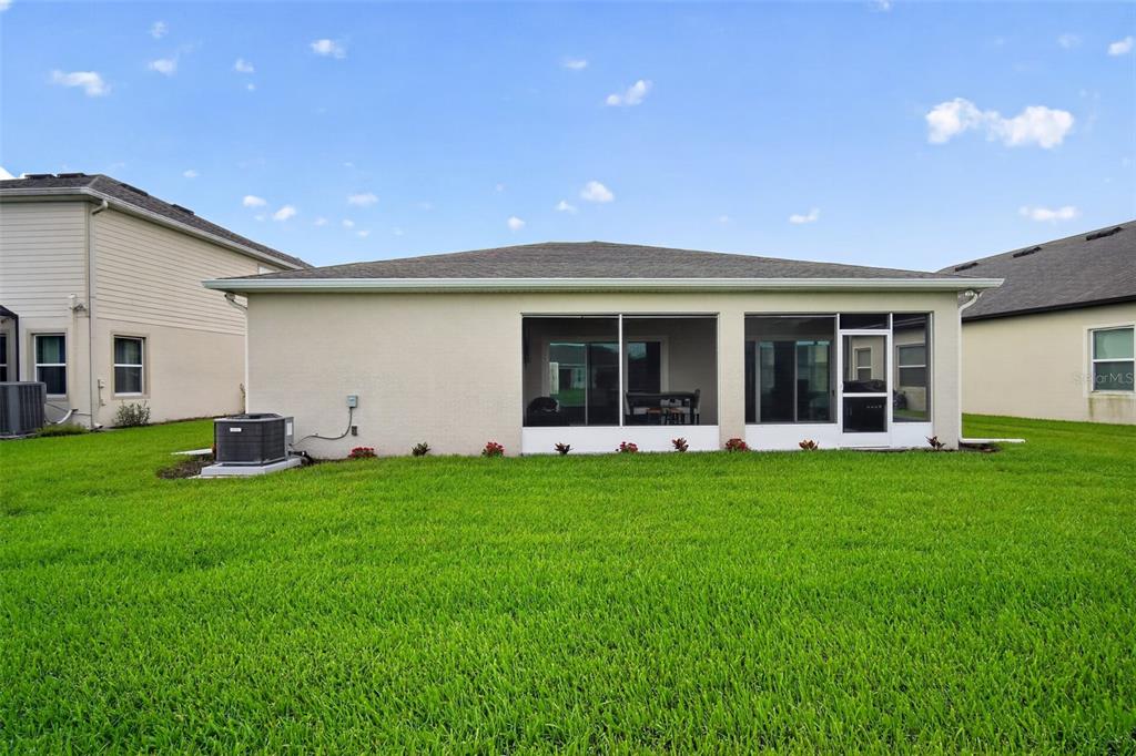 The rear exterior of a single-story house features a screened-in patio and a grassy yard — 8021 OLIVE BROOK DRIVE, WESLEY CHAPEL, FL