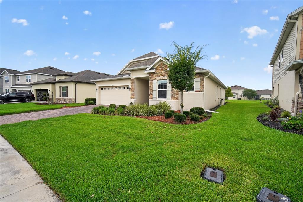 A single-story suburban house with a stone facade, two-car garage, and a manicured lawn — 8021 OLIVE BROOK DRIVE, WESLEY CHAPEL, FL
