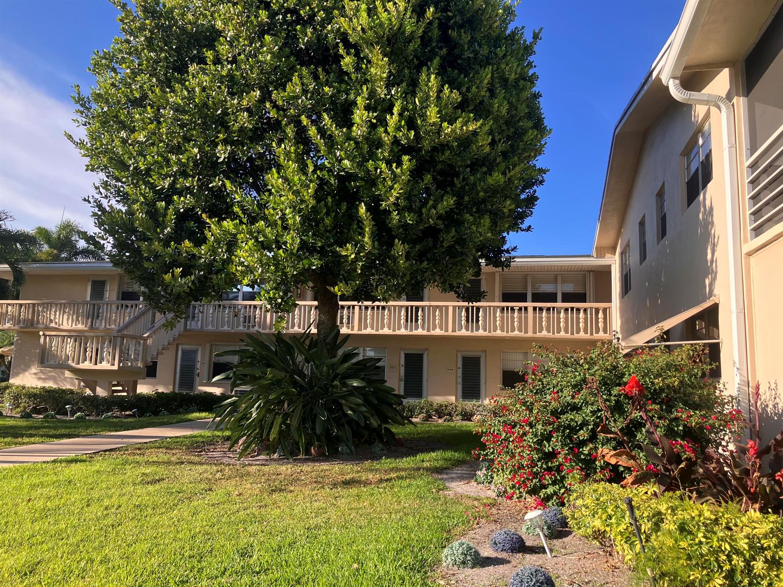 259 Sheffield K # 259, West Palm Beach FL 33417