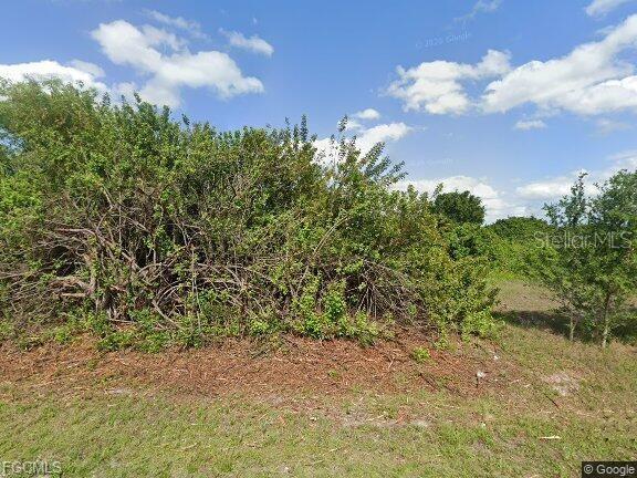 A large, dense thicket of green shrubs and trees sits on a grassy lot — 525 CHAMONIX AVENUE S, LEHIGH ACRES, FL