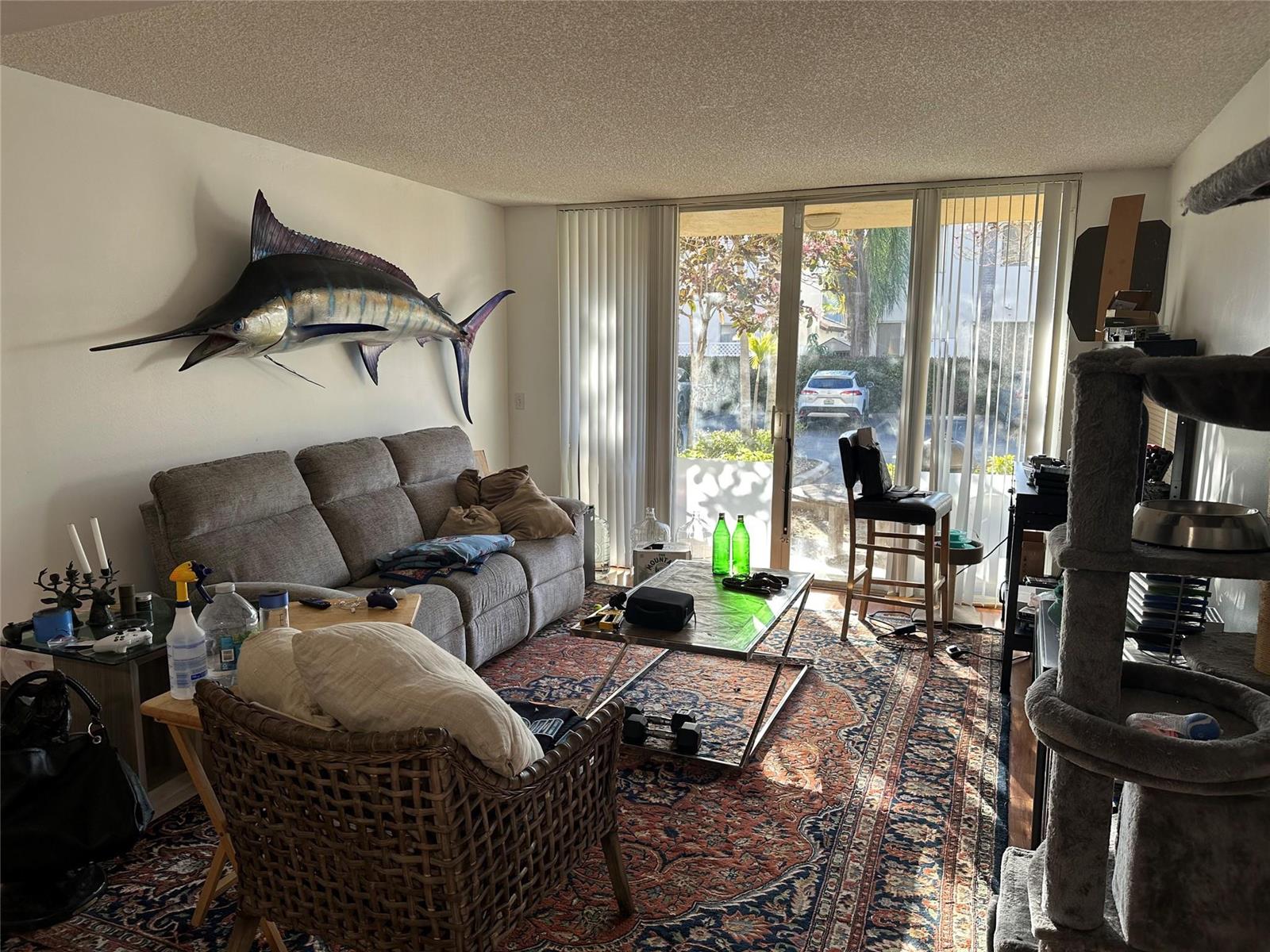 A living room features a large marlin wall mount, a grey sofa, and a patterned rug — 1450 SE 3rd Avenue # 107, Dania Beach FL 33004, DANIA BEACH, FL