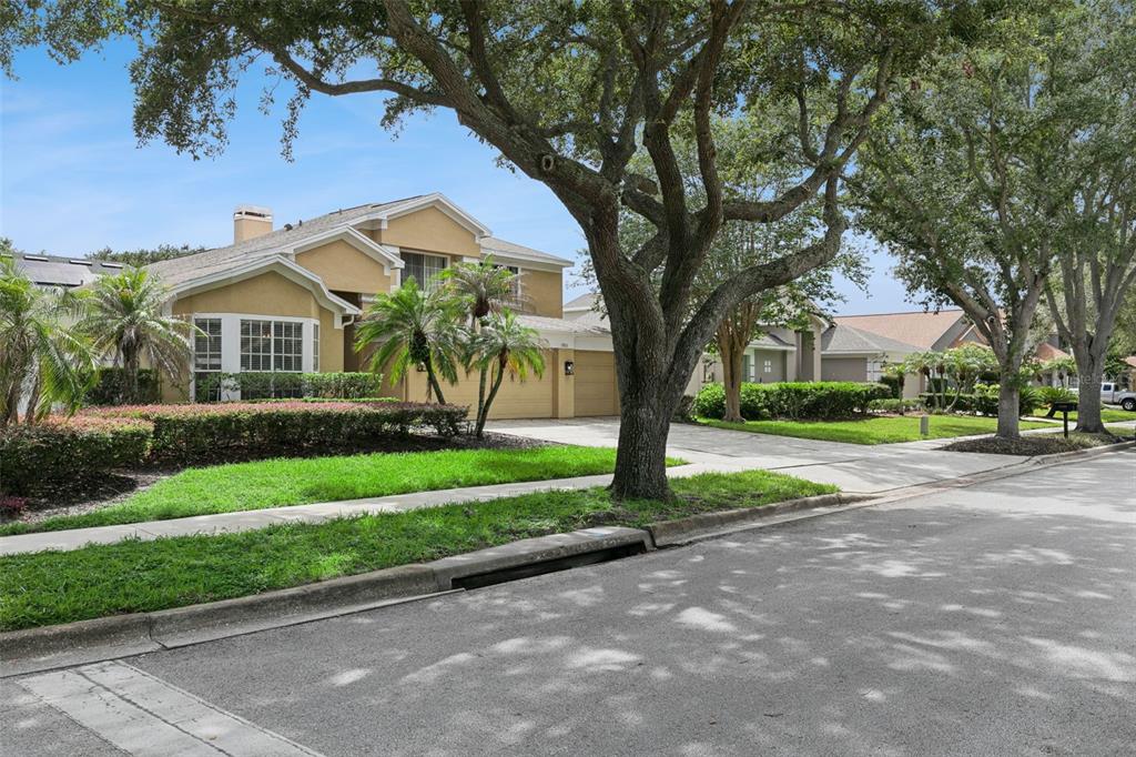 A two-story tan house with a multi-car garage sits behind a large tree and lawn — 7800 SAINT GILES PLACE, ORLANDO, FL