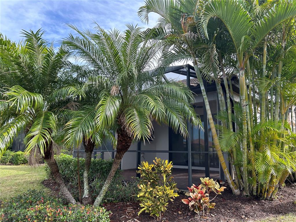A living room with dark wood floors, a tray ceiling, and sliding glass patio doors — 13241 TORRESINA TERRACE, BRADENTON, FL