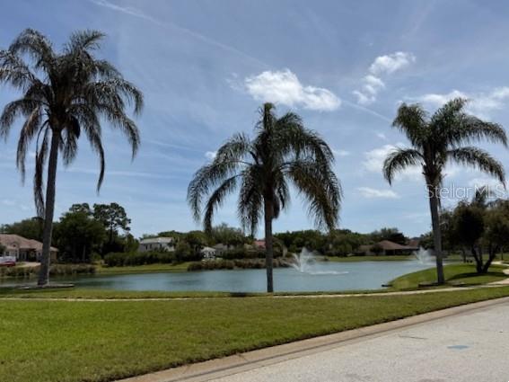 Three palm trees stand along the edge of a pond with fountains in a residential neighborhood — 75 OLD OAK DRIVE S, PALM COAST, FL