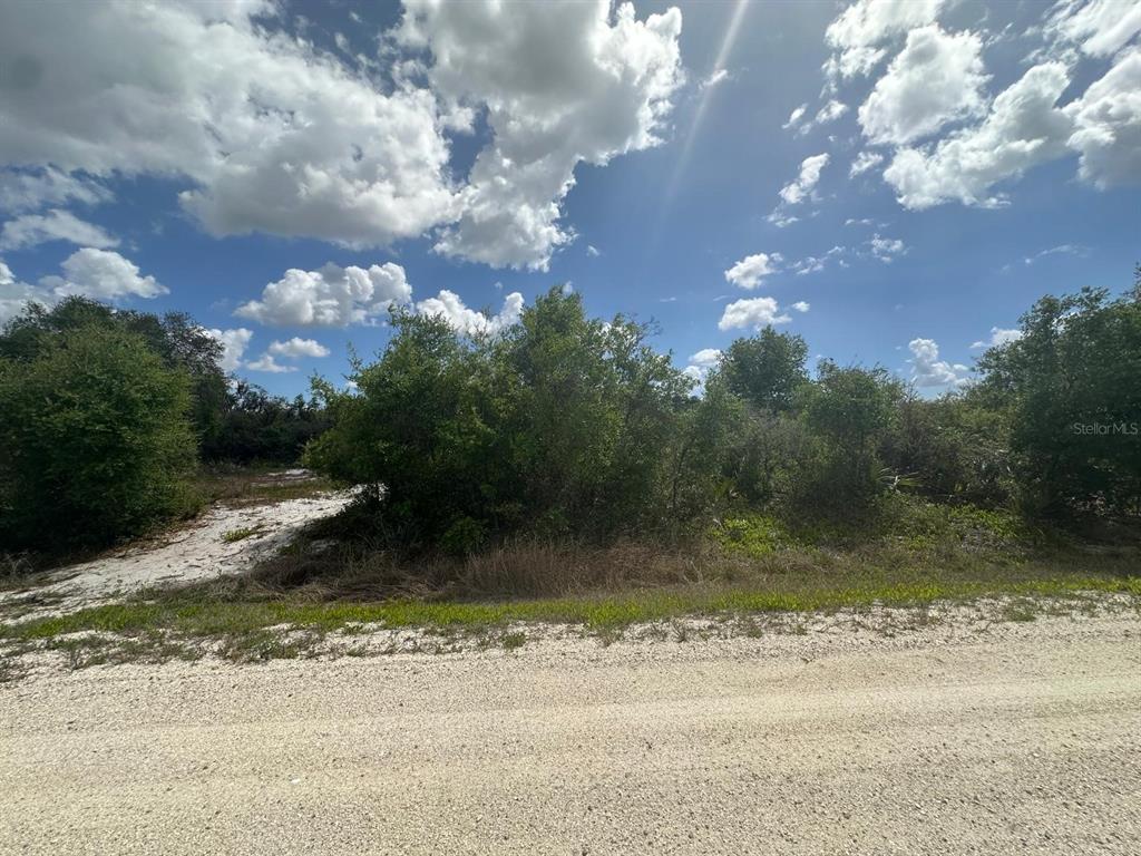A vacant, sandy lot with dense green vegetation under a bright, cloudy blue sky — 130 VAGABOND AVENUE, LAKE PLACID, FL