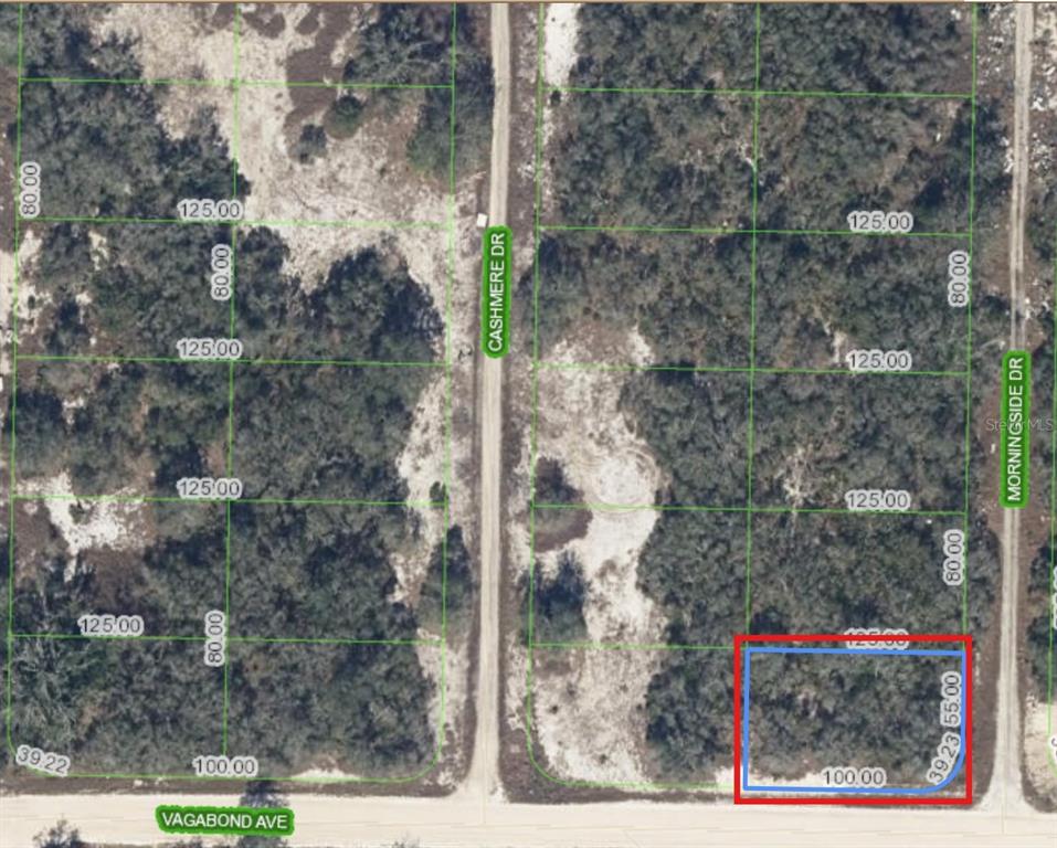 An aerial map shows a rectangular plot of land highlighted in red near a road intersection — 130 VAGABOND AVENUE, LAKE PLACID, FL