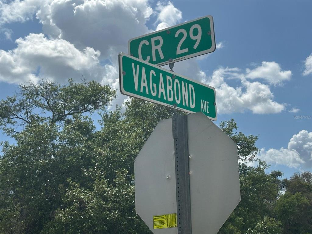 A street sign for CR 29 and Vagabond Ave stands against a blue sky with clouds — 130 VAGABOND AVENUE, LAKE PLACID, FL