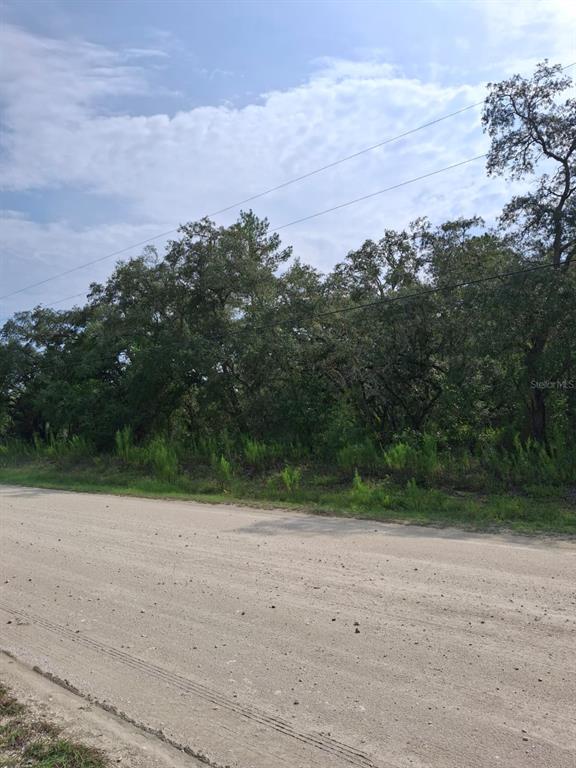 A dirt road runs alongside a wooded lot with mature trees under a cloudy sky — 18364 PARAKEET ROAD, WEEKI WACHEE, FL