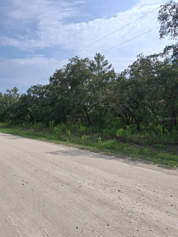 A dirt road runs alongside a wooded lot with mature trees and utility lines — 18364 PARAKEET ROAD, WEEKI WACHEE, FL