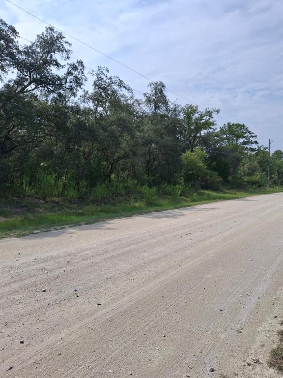 A dirt road runs alongside a wooded lot with mature trees under a cloudy sky — 18364 PARAKEET ROAD, WEEKI WACHEE, FL