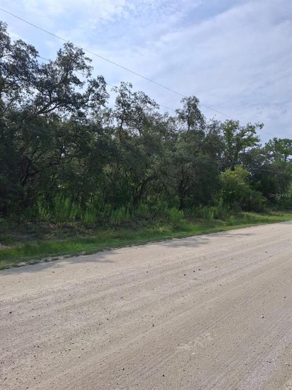 A dirt road runs alongside a wooded lot with mature trees under a cloudy sky — 18364 PARAKEET ROAD, WEEKI WACHEE, FL